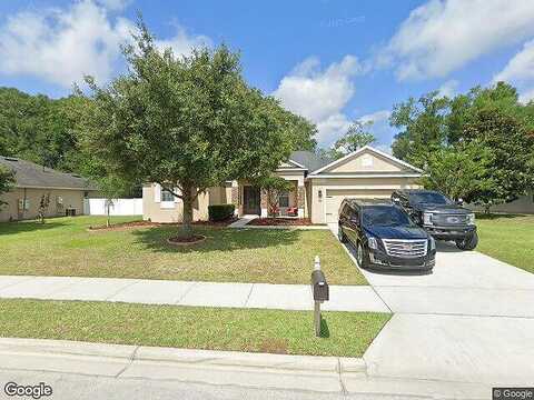 Curly Fern, DELAND, FL 32720