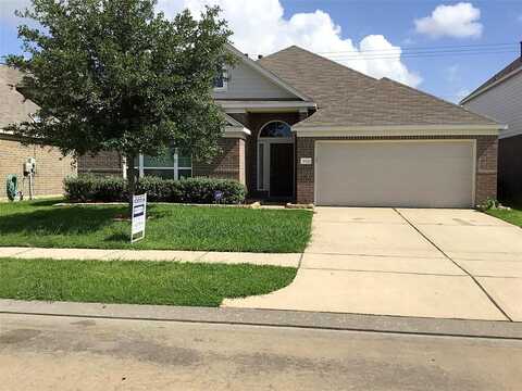 Annatto, BAYTOWN, TX 77521