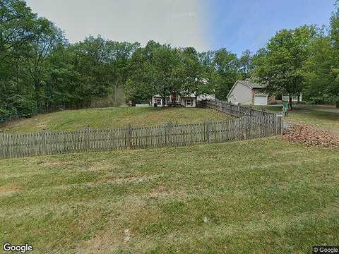 Bluebird, WINCHESTER, VA 22602