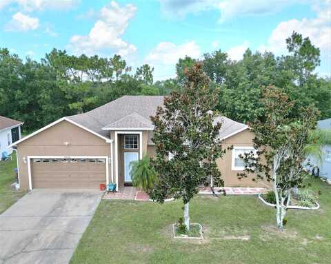 Ficus Tree, KISSIMMEE, FL 34758