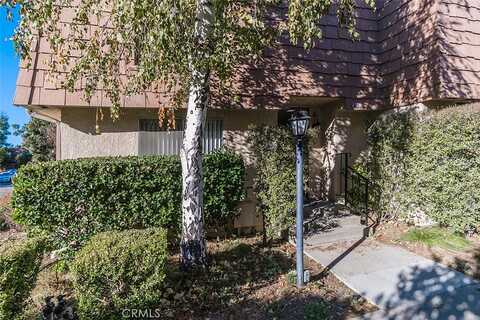 Yankee, AGOURA HILLS, CA 91301