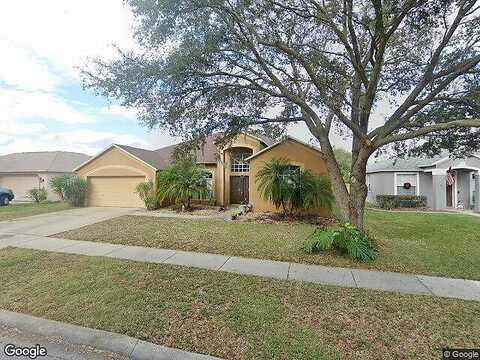 Amber Ridge, VALRICO, FL 33594