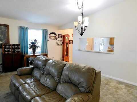 Teaberry, ZEPHYRHILLS, FL 33542