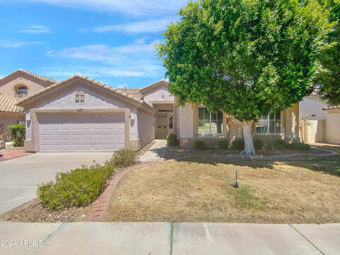 Barberry, CHANDLER, AZ 85248