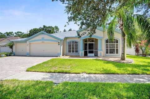 Arbor Green, ZEPHYRHILLS, FL 33541