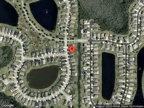 Dasha Palm, KISSIMMEE, FL 34744