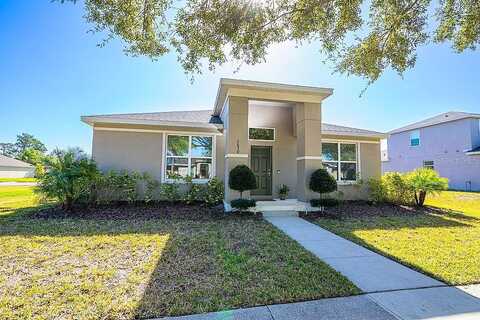 Grasmere View, KISSIMMEE, FL 34746
