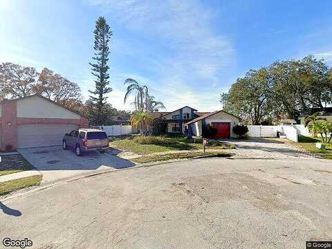 Fieldcrest, HOLIDAY, FL 34691