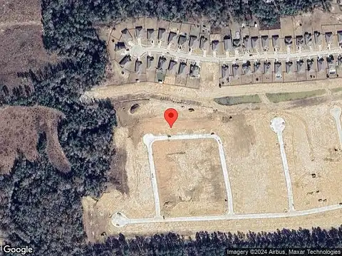 Alder, ANAHUAC, TX 77514