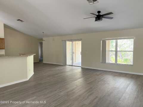 Tall Marigolds, HOMOSASSA, FL 34446