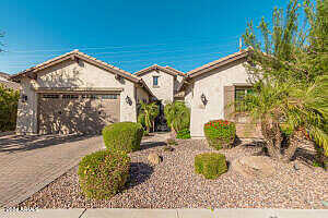 Raven, QUEEN CREEK, AZ 85142