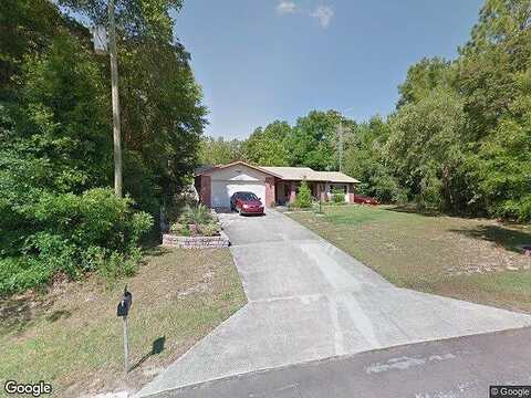 Water Lily, CITRUS SPRINGS, FL 34434