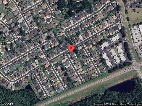 Lady Palm, TRINITY, FL 34655