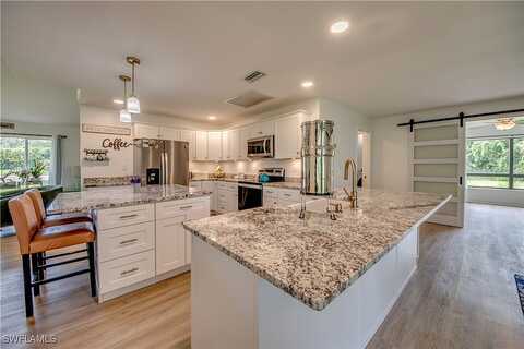 Bear Cub, FORT MYERS, FL 33908