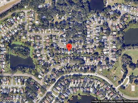 Palm Leaf, BRANDON, FL 33510