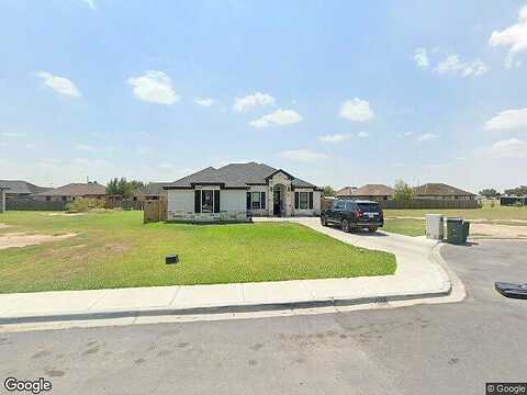 Canary, LA VILLA, TX 78562