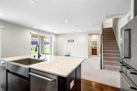 Montgomery Bell, WESLEY CHAPEL, FL 33543