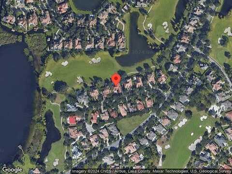 Macaw, WINDERMERE, FL 34786