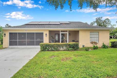 Elderberry, PORT RICHEY, FL 34668