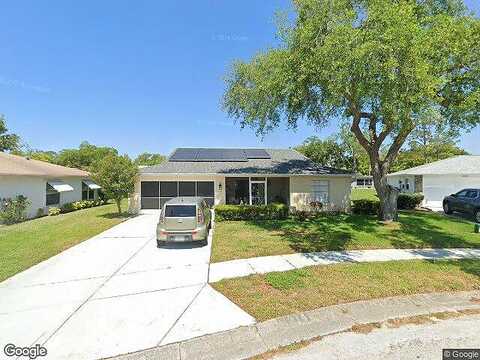 Elderberry, PORT RICHEY, FL 34668