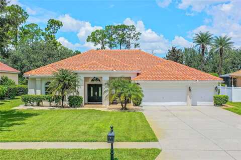 Ledgement, WINDERMERE, FL 34786