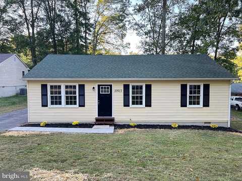 Doeskin, FREDERICKSBURG, VA 22407