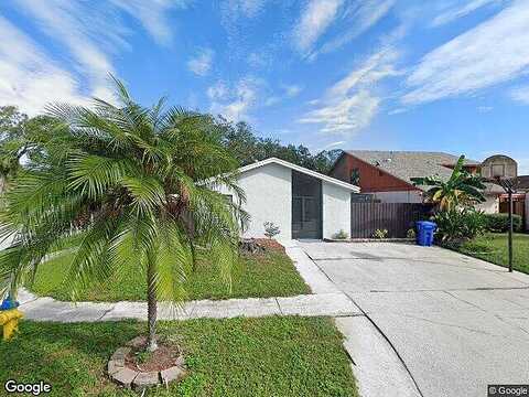 Pennytree, TAMPA, FL 33624
