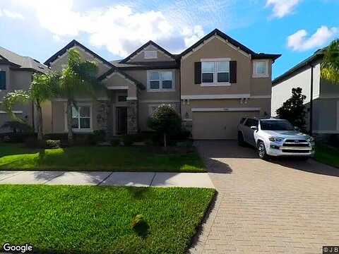 Briarbrook, TAMPA, FL 33647
