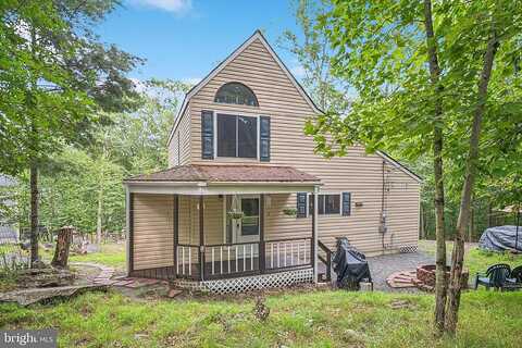 Blueberry, LACKAWAXEN, PA 18435