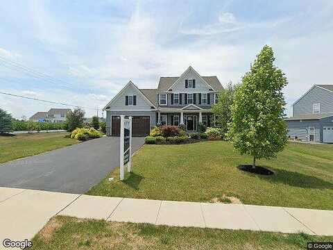 Angelica, NEW FREEDOM, PA 17349