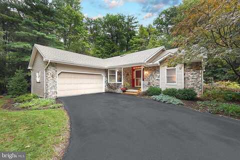 White Pine, ORRTANNA, PA 17353