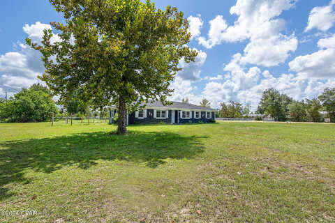 Willow, YOUNGSTOWN, FL 32466