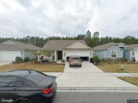 Island Fox, JACKSONVILLE, FL 32222