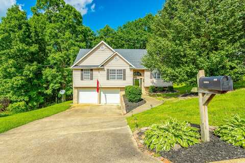 Middle View, RINGGOLD, GA 30736