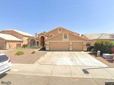 Appaloosa, GILBERT, AZ 85296