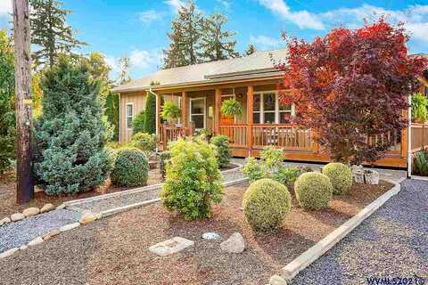 Grape, SWEET HOME, OR 97386