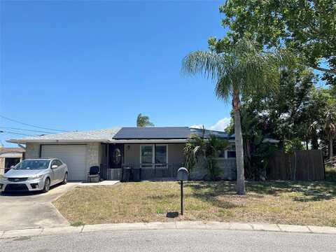 Abelia, PORT RICHEY, FL 34668