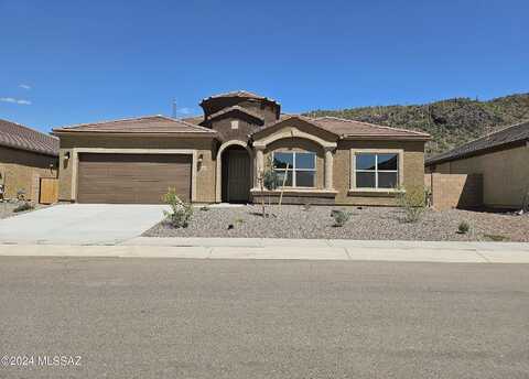 Black Dalea, MARANA, AZ 85653