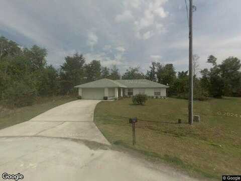 Bluebill, KISSIMMEE, FL 34759