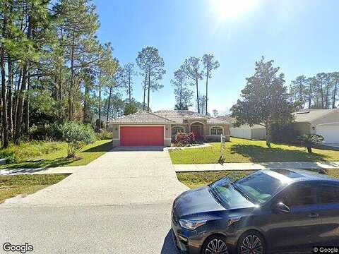 Bird Of Paradise, PALM COAST, FL 32137
