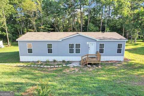 Chalybeate, MANCHESTER, GA 31816