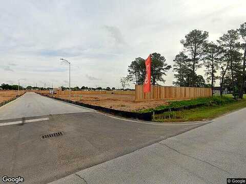 Tannach, TOMBALL, TX 77375