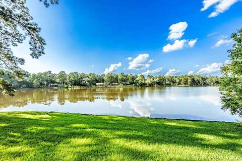Lake, HUNTSVILLE, TX 77340