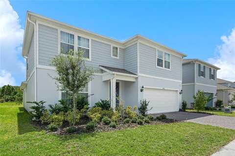 Saw Palmetto, CLERMONT, FL 34714
