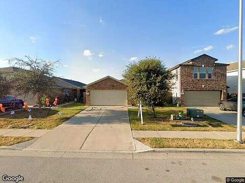 Theodore Roosevelt, MANOR, TX 78653
