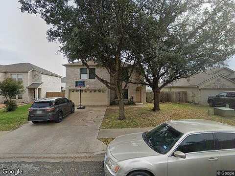 Keeshond, ROUND ROCK, TX 78664