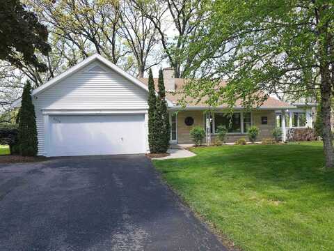 Chestnut, WINDSOR, WI 53598