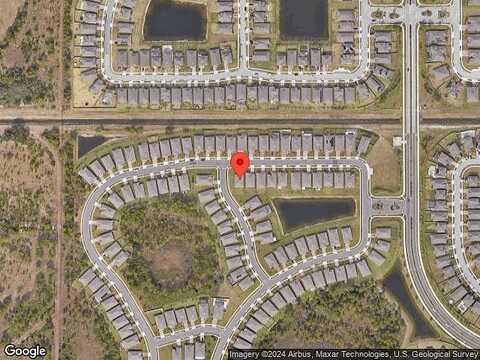 Caladium, MELBOURNE, FL 32904