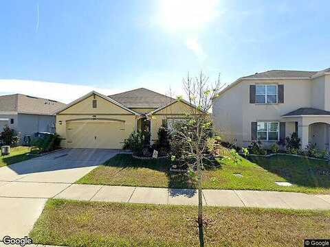 Ludisia, DAVENPORT, FL 33837