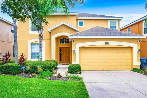 Orange Cosmos, DAVENPORT, FL 33837